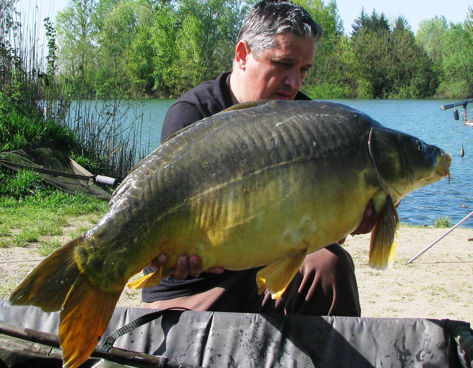 Pelagicevo Jezero  aprilie 2015 - img2036.JPG